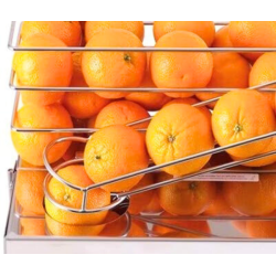 Presse-agrumes 25 fruits/mn F50