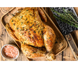 FURNOTEL - RÔTISSOIRE À GAZ DE MARCHÉ GRANDE CAPACITÉ - 30 POULETS